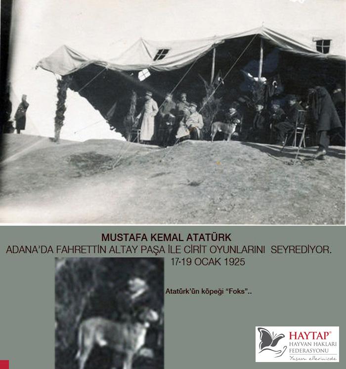 Atatürk’ün Köpeği Foks’un Yayınlanmamış Fotoğrafları İlk Olarak Haytap Sitede !