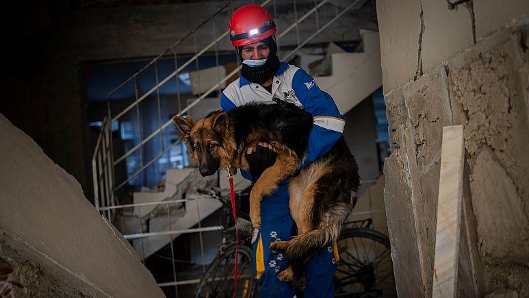 Turkish Animal Rescue Teams Overwhelmed After Earthquake