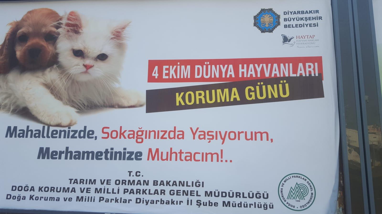 Haytap Billboardlari Diyarbakir Caddelerinde Devlet Kurumlari Ve Haytap Haytap In Arkadaslari Haytap Hayvan Haklari Federasyonu