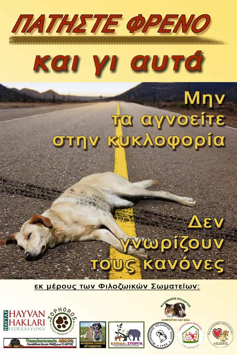 Haytap Afişleri Yunanistan’da Hayvanlara Umut Oldu...