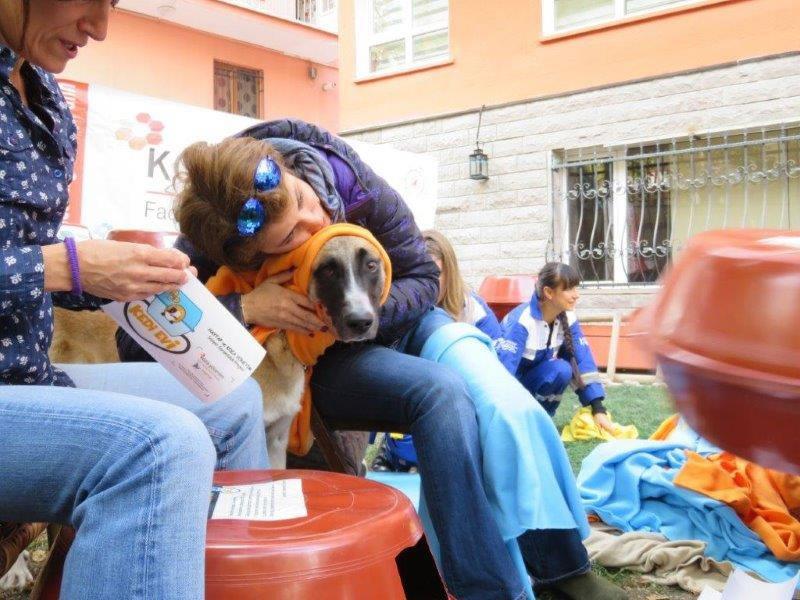 2016 Haytap Takvimleri Ankara’da Kedilere Yuva Oldu
