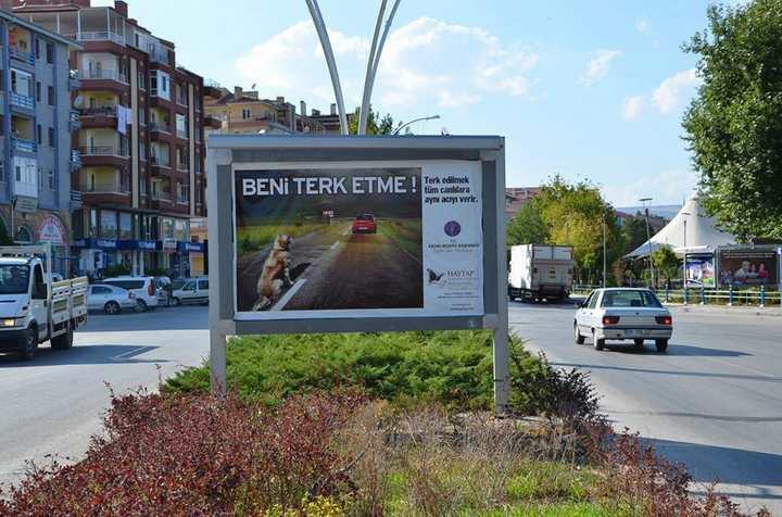 Ankara Kazan Belediyesi Tüm Belediyelere Örnek Olsun! - Kazan’da Her Yer Haytap Afişleri İle Donatıldı.