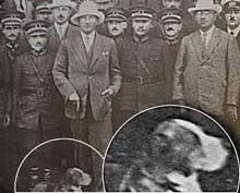 Kötülük Yapmak İçin Isırmadı ! - Atatürk ve Foks