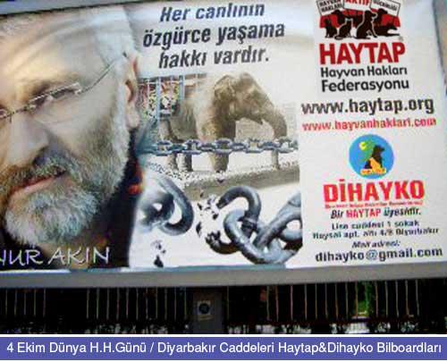 HAYTAP Kampanyası Diyarbakır Caddelerinde !