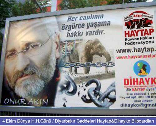 HAYTAP Kampanyası Diyarbakır Caddelerinde !