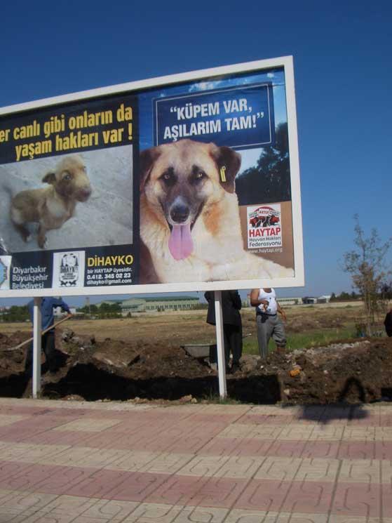 Haytap Billboardları Diyarbakır Caddelerinde !