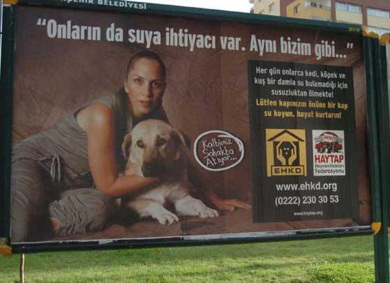 HAYTAP Billboardları Eskişehir Caddelerinde !