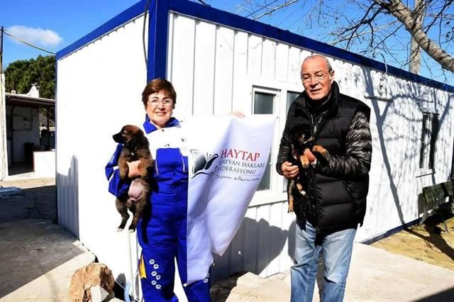 Toyzz Shop & HAYTAP Cooperation for Donations to Turgut Reis Animal Rehabilitation Center