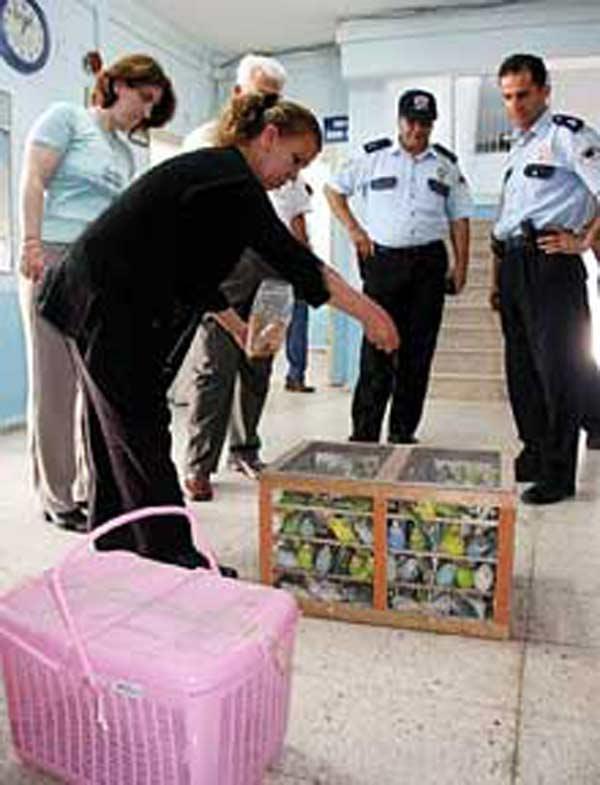 Bavul Ticareti İle Yurda Sokulmak İstenen Çin Aslanları Uyku İlacı Kurbanı Oldu