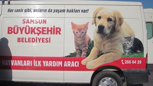 HAYTAP’ın İşbirliğiyle Samsun’da Mucize Gerçekleşiyor: Hayvan  Ambulansı