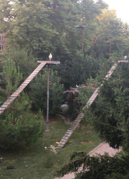 Zonguldak  Özel Hayvanat Bahçesinin Kapatılması İstemimiz