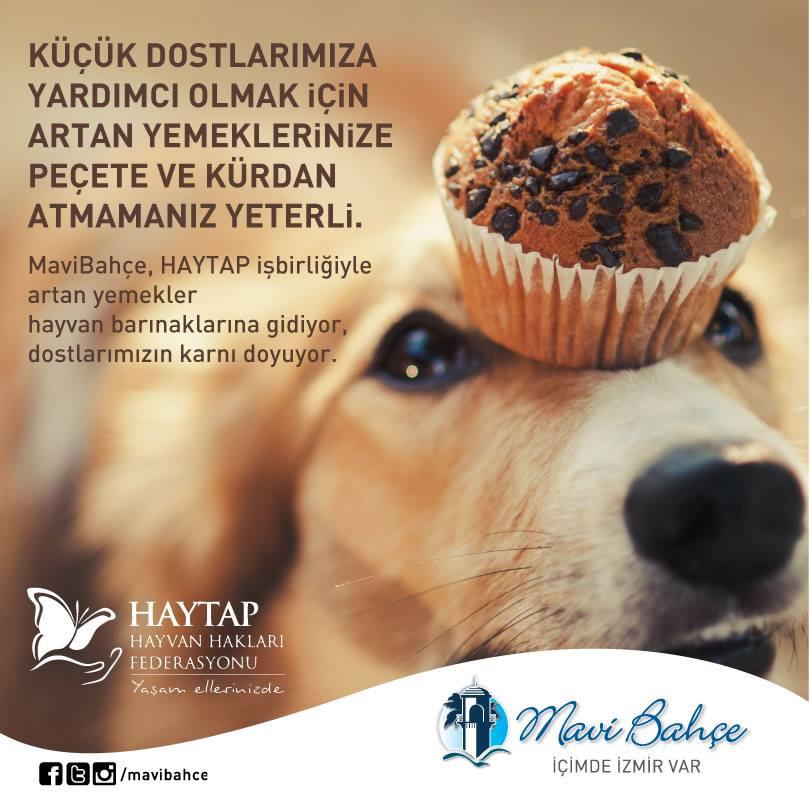 HAYTAP – Mavişehir Ortak Çalışması