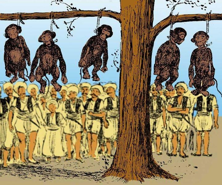 İstanbul’un maymunları neden idam edildi?
