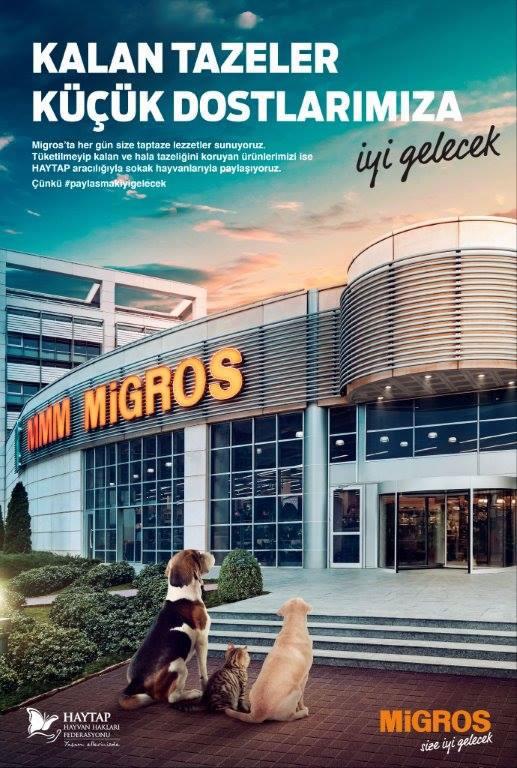 (*) Migros ve Haytap Elele ! - Haytap - Migros hand in hand..together for our stray friends