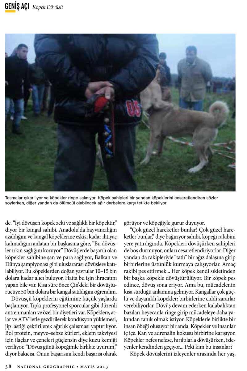 National Geographic - Haytap ’’Acımasız ve Kanlı Köpek Dövüşleri’’