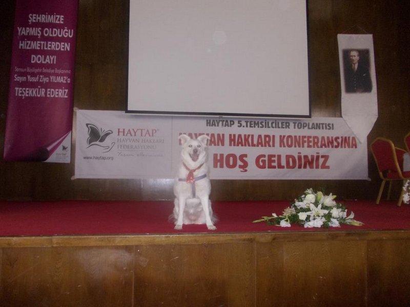 Haytap 5. Ulusal Temsilciler Toplantımız - Samsun’da Örnek  Hayvan Bakım Evi- 