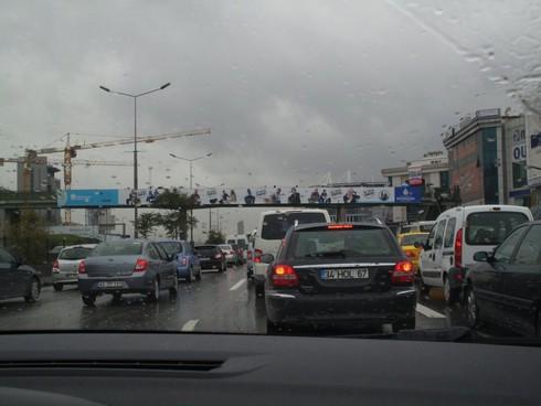 İstanbul, Haytap - Türler Arası Dayanışma Afişleriyle Donatıldı