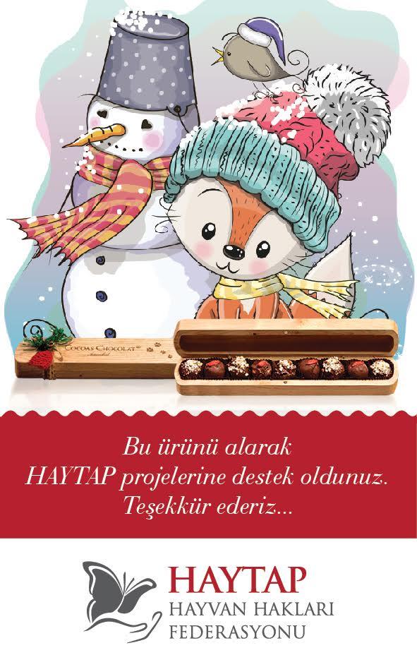 Help Stray Animals by Buying Chocolate from Haytap!