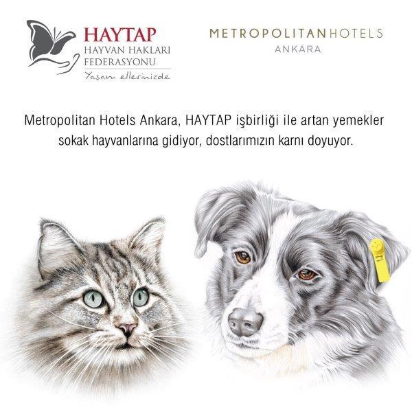 Metropolitan Hotels Ankara & Haytap işbirliği ile artan yemekler sokak hayvanlarına gidiyor!